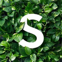 Skogluft