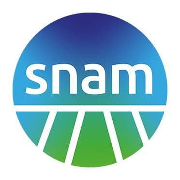 Snam color logo