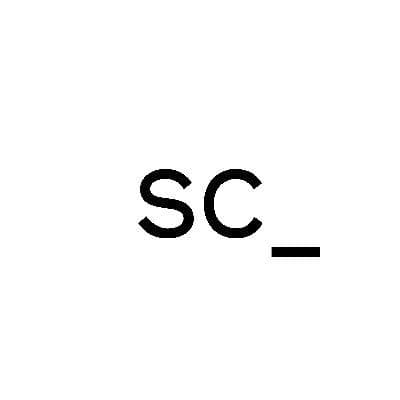 Social Capital color logo