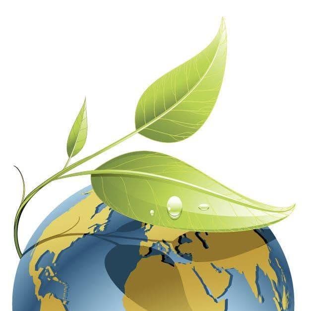 Solaris Landscaping & Snow Removal Services color logo
