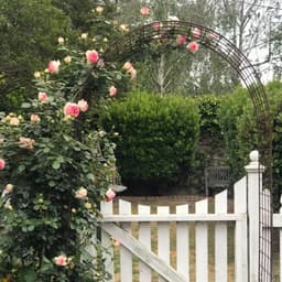 Somerville Gardens