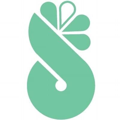 Spinnrad color logo