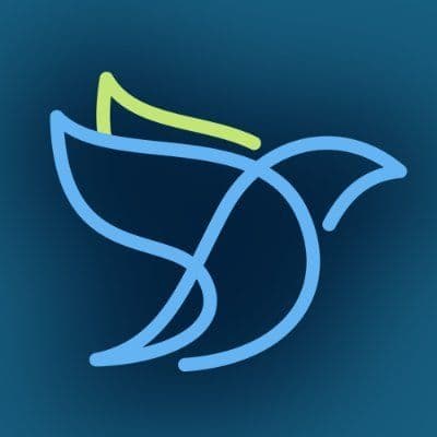 Spring Bird color logo