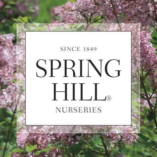 Spring Hill Nurseries color logo