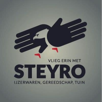 Steyro color logo