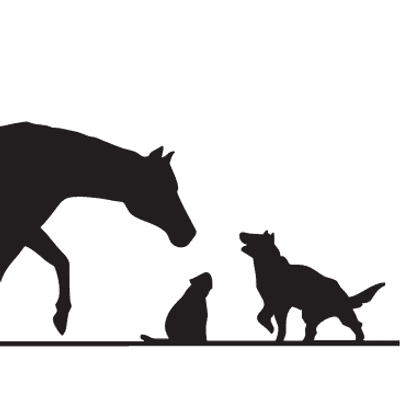 StJohns Veterinary H color logo