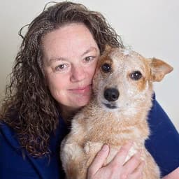 Striegel Animal Hosp