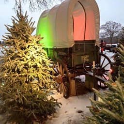 Sunset Hill Tree Farm