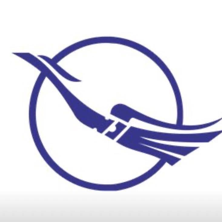Syrian Airlines color logo