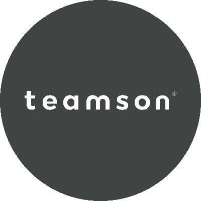 Teamson color logo