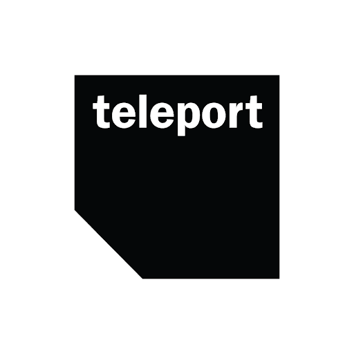 Teleport Asia color logo