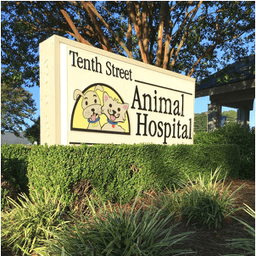 Tenth Street Animal Hospital