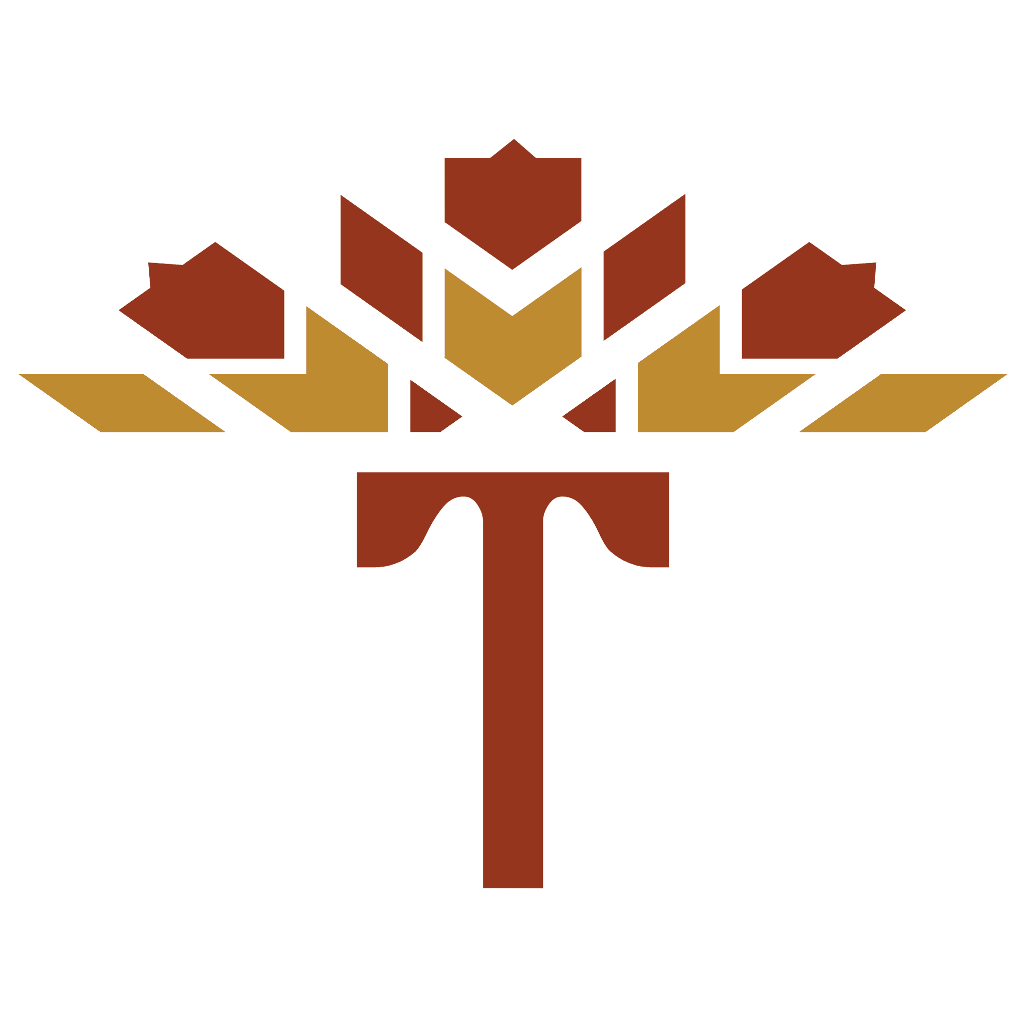 TerraFez color logo