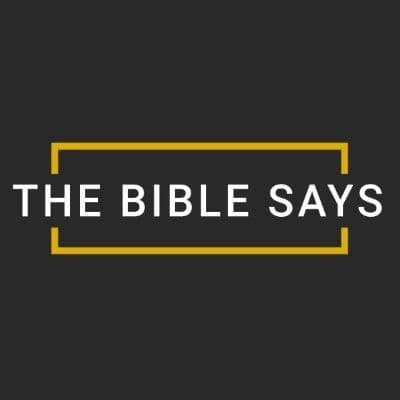 The Bible Says color logo