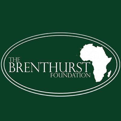 The Brenthurst Foundation color logo