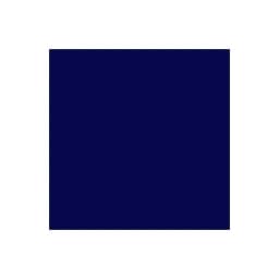 EBSLatam color logo