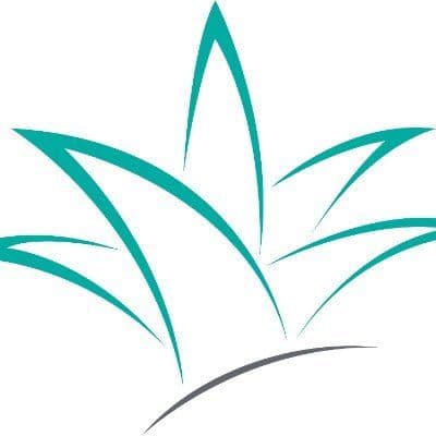 The Iidea Company color logo