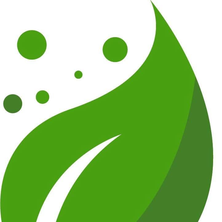 The Seed Fair color logo