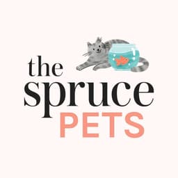 The Spruce Pets