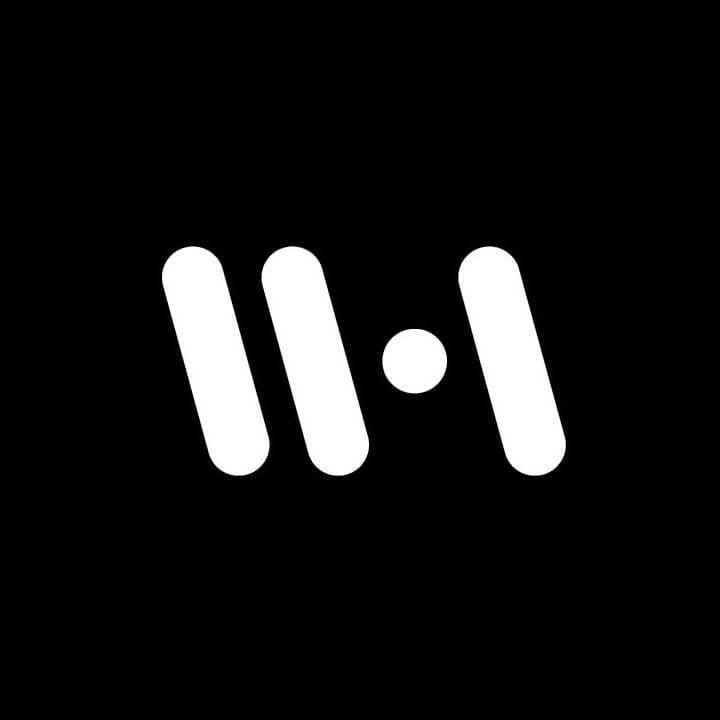 The Web Addicts color logo