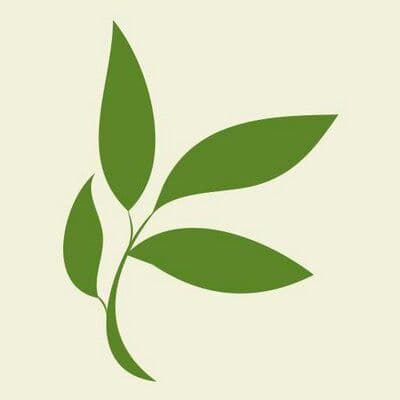Timberline Knolls color logo