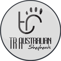 T & R Aussies