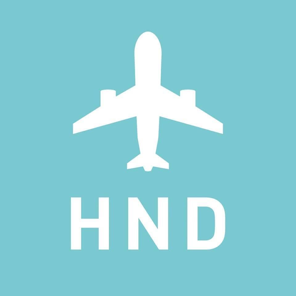 羽田空港公式_運用情報_haneda_airport color logo