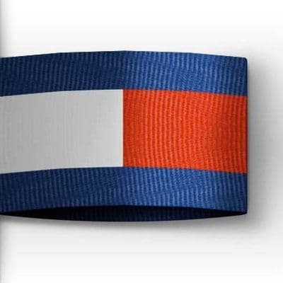 Tommy Hilfiger USA color logo