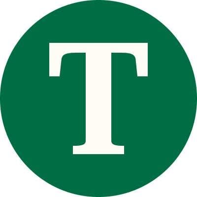 Tourlane color logo