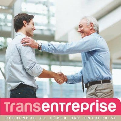 Transentreprise color logo