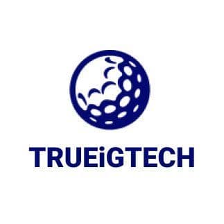 TRUEiGTECH - iGaming & Sweepstakes Software color logo
