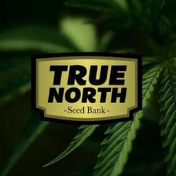 True North Seedbank