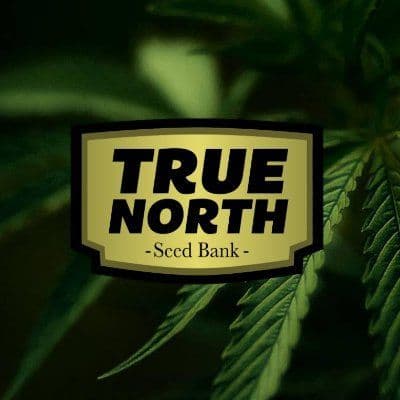 True North Seedbank color logo