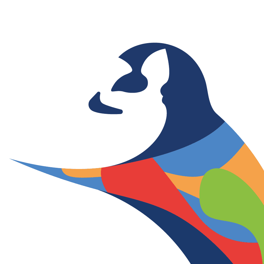 Tsaradia color logo
