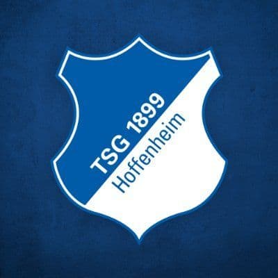 TSG Hoffenheim color logo