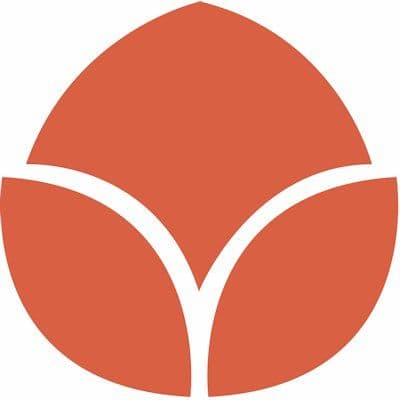 Tulip Time Festival color logo