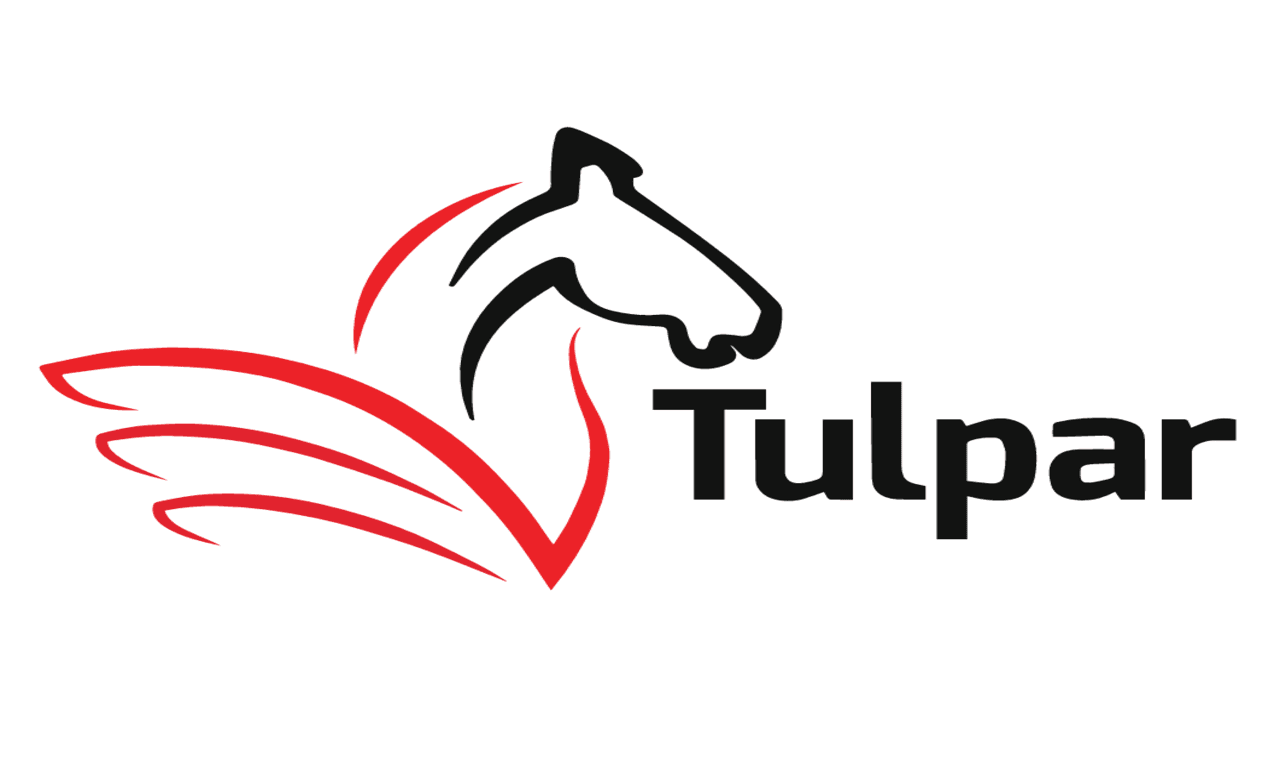 TulparGlobalTaxation color logo