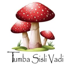 Tumba Sisli Vadi