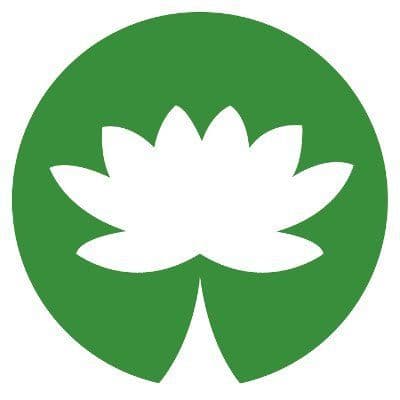 Vdvelde.Com color logo