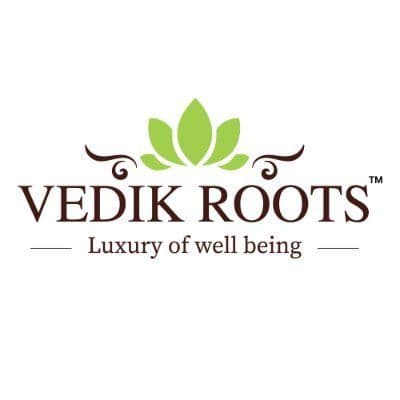 Vedikroots color logo