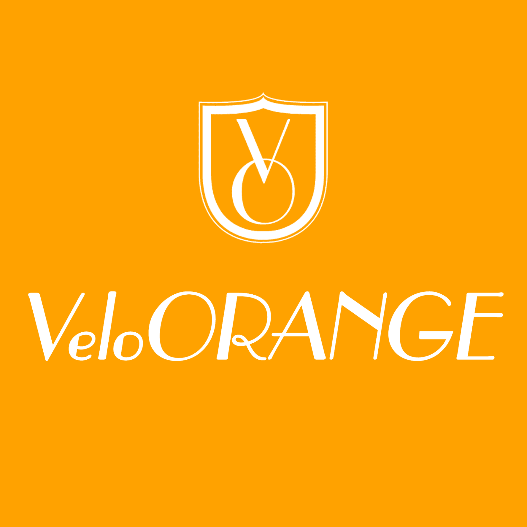 Velo Orange color logo