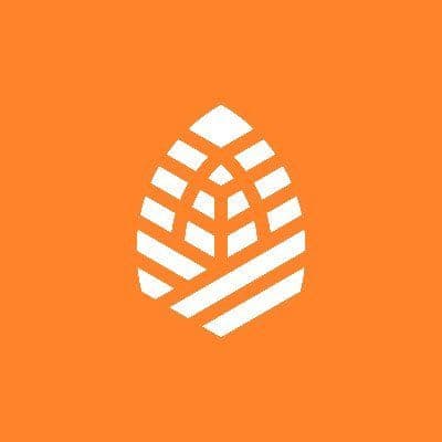 Verdova color logo