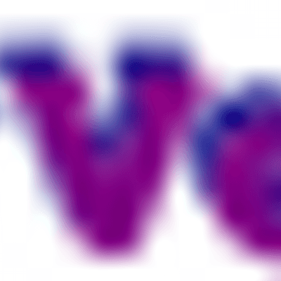 Vervendi Auctions color logo