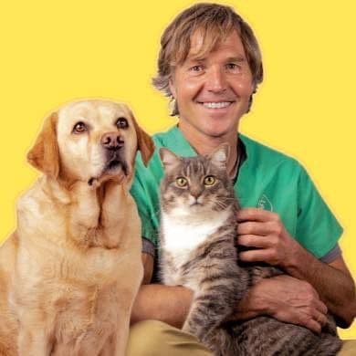 Veterinary Secrets color logo