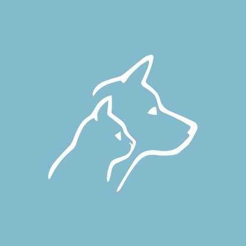 VetGruppen color logo