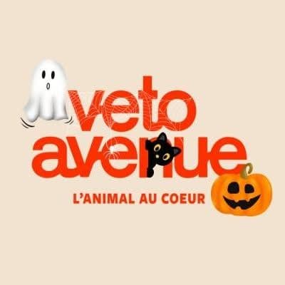 VetoAvenue color logo