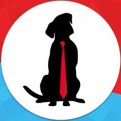 Veterinary Growth Partners color logo