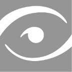Visual Graphic Systems color logo