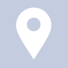 Vinitaly Official color logo