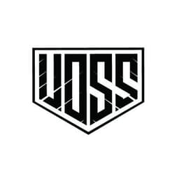 Voss Helmets